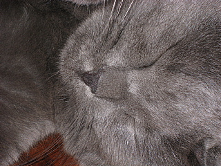 a0021558_2335062.jpg