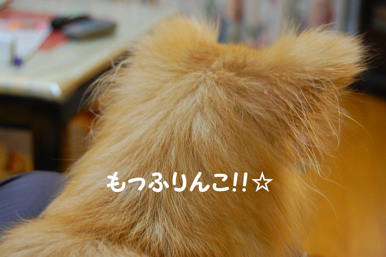 b0112758_23345690.jpg