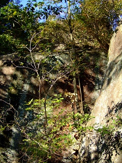 b0095061_11543827.jpg
