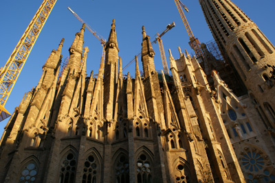 d0119763_19545057.jpg
