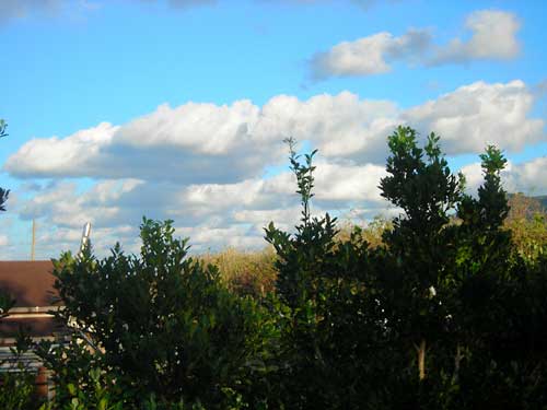 e0097770_20343050.jpg