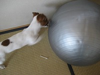 e0106372_11234241.jpg