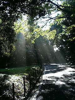 f0054677_752108.jpg