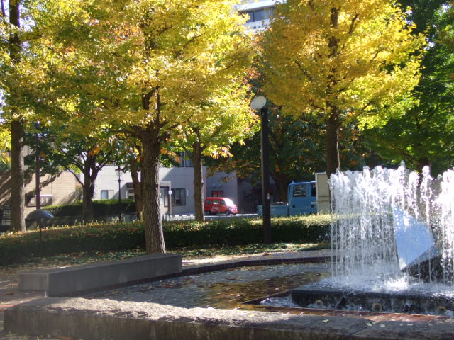 f0140491_23552572.jpg