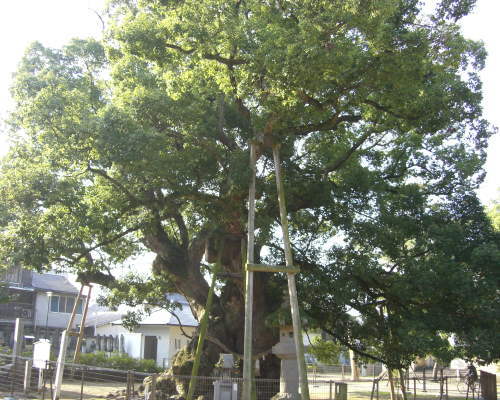 c0087392_15552083.jpg