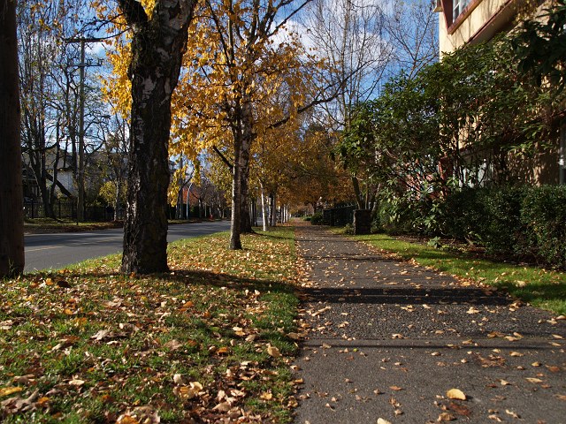 c0136092_1295836.jpg