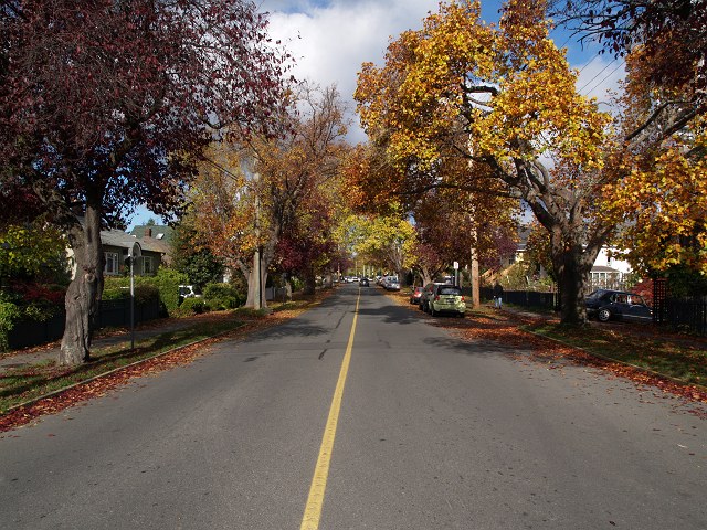 c0136092_1315657.jpg
