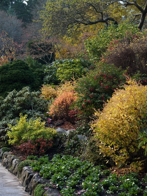 c0136092_22552664.jpg