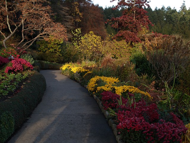 c0136092_2255477.jpg