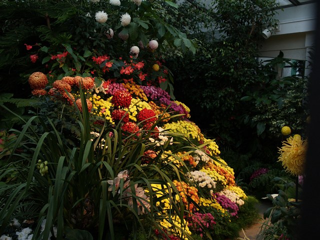 c0136092_2256229.jpg