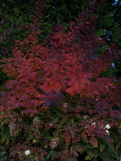 c0136092_2256284.jpg