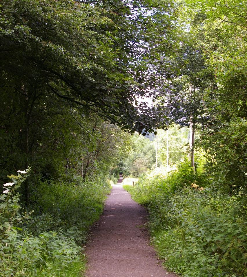 c0072801_8565317.jpg