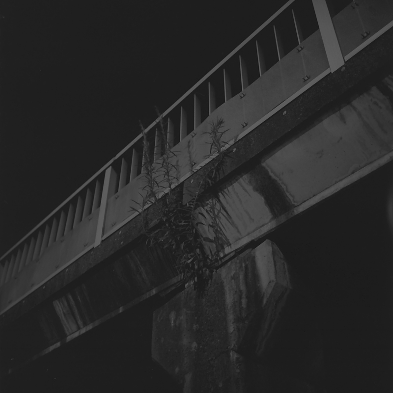f0109201_11145132.jpg
