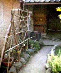 d0077603_1236594.jpg