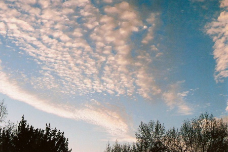 b0088205_463151.jpg