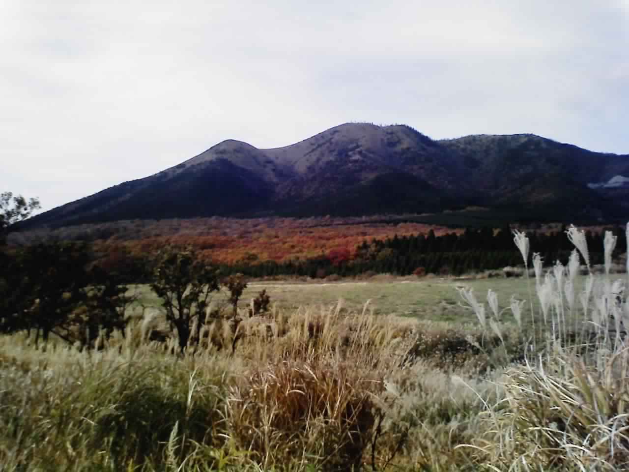 f0158306_1743337.jpg