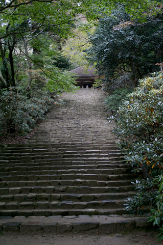 c0011009_104703.jpg