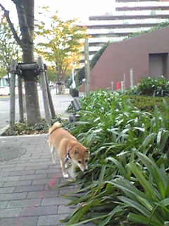 f0004309_13422212.jpg