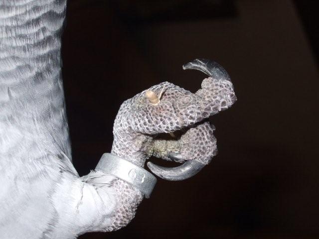 c0133013_23183344.jpg