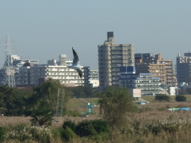 c0133013_2382659.jpg