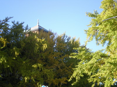 e0117613_8373568.jpg