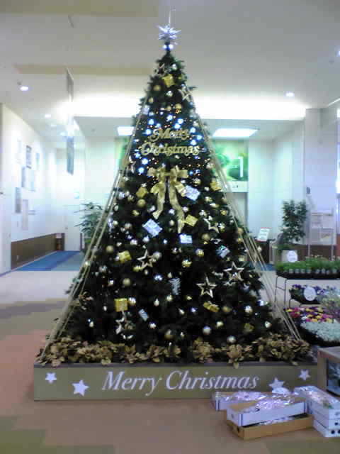 a0021421_15404796.jpg