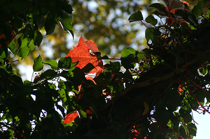 d0089024_20495942.jpg