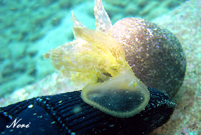b0044726_23471911.jpg