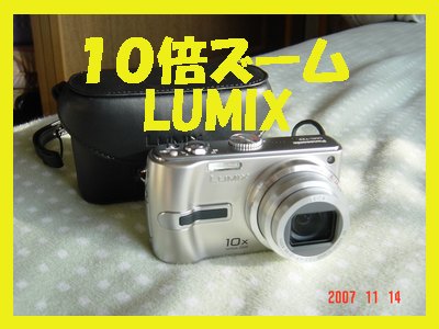 c0009528_8551758.jpg