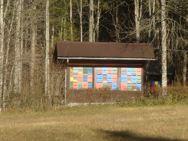 c0131234_7472894.jpg