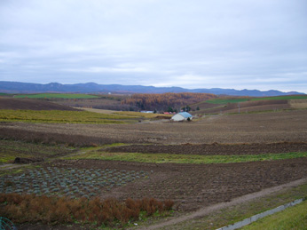 f0140642_20165990.jpg