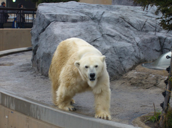 f0140642_2021324.jpg