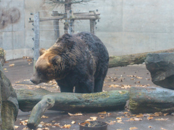 f0140642_20243169.jpg
