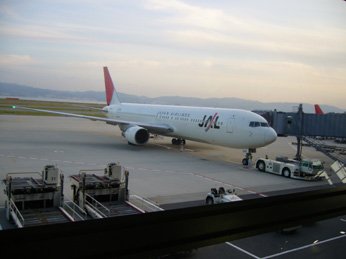 f0140642_2050221.jpg