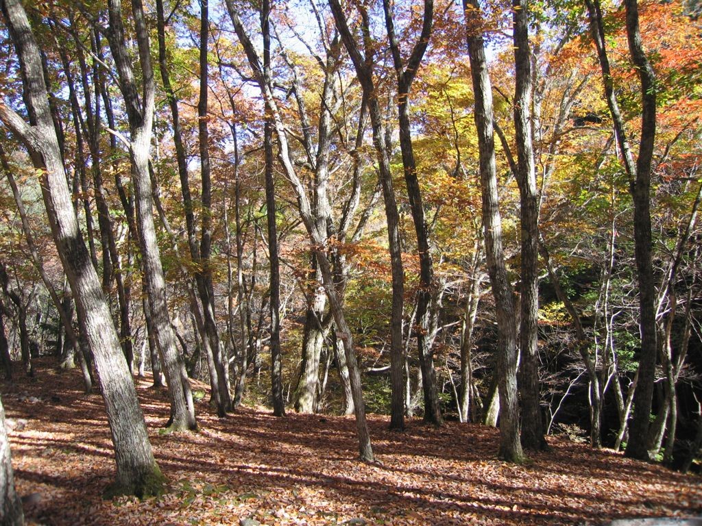 f0151044_8223358.jpg