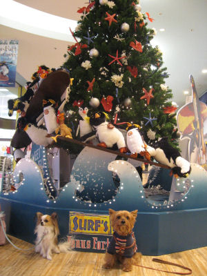 1階ペンギンさんツリー前♪"