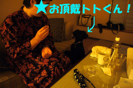 d0070047_0245282.jpg