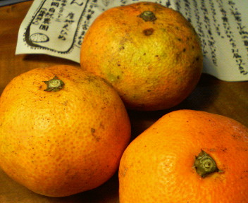 f0088647_8374470.jpg