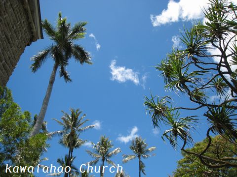 a0090451_14393318.jpg