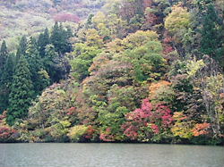 e0016955_13321674.jpg