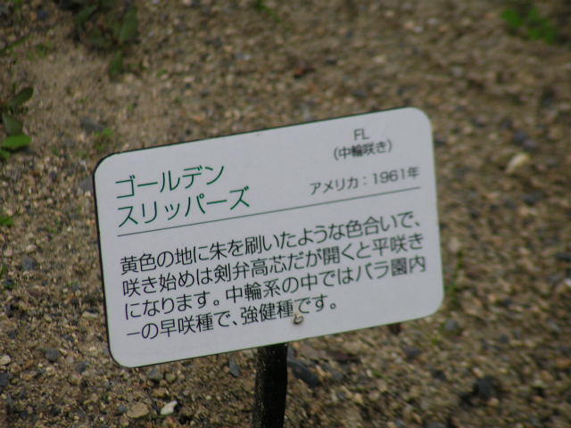 f0074659_20523994.jpg