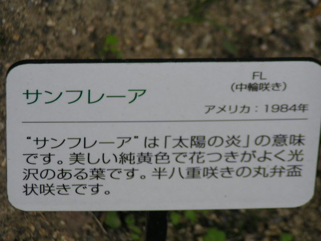 f0074659_20592077.jpg