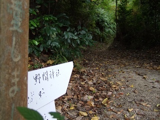 b0095061_8243012.jpg