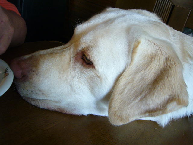 f0057565_225751.jpg