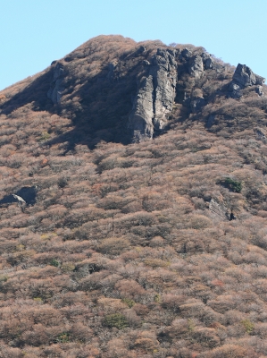 d0102968_8172553.jpg
