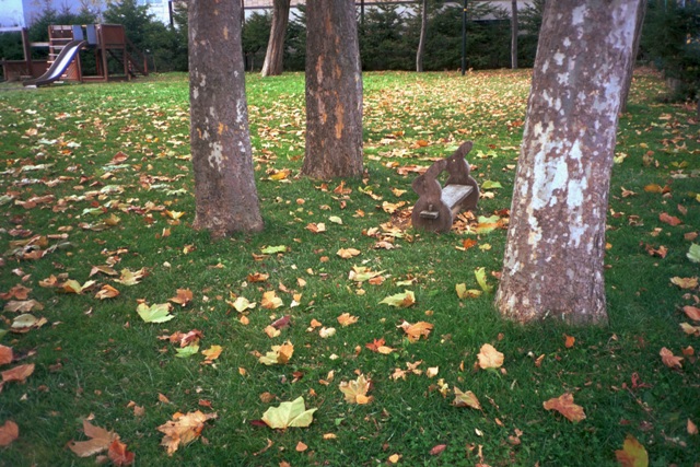 e0023068_14341770.jpg