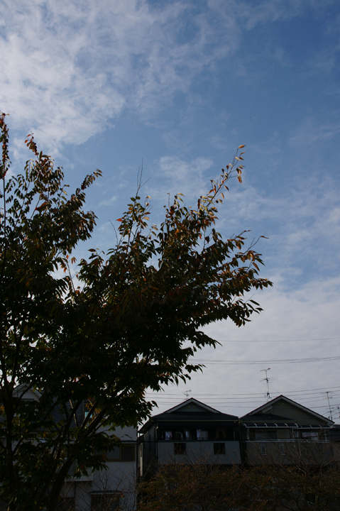 e0002371_1742169.jpg
