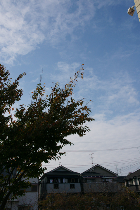 e0002371_17442034.jpg