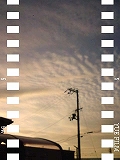 e0081772_923745.jpg
