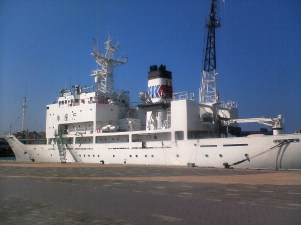 f0150672_22452645.jpg